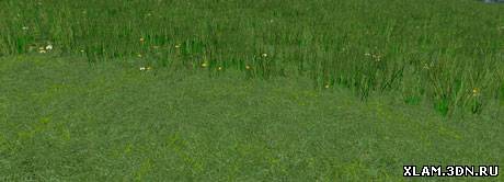 Grass Texture v 1.0